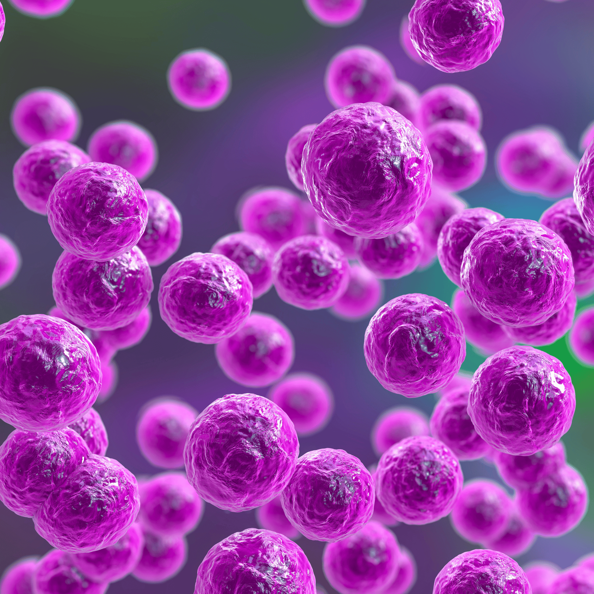 Close-up of purple spherical objects against a gradient background